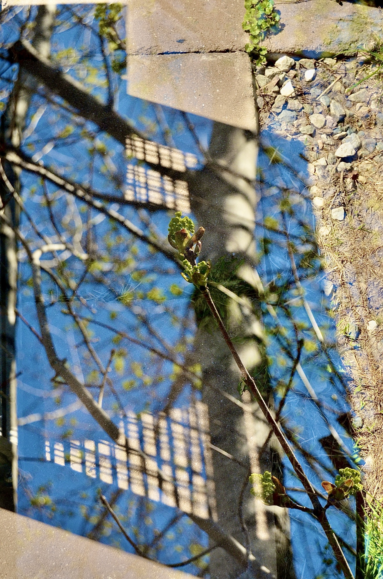 In Camera Multiple Exposure